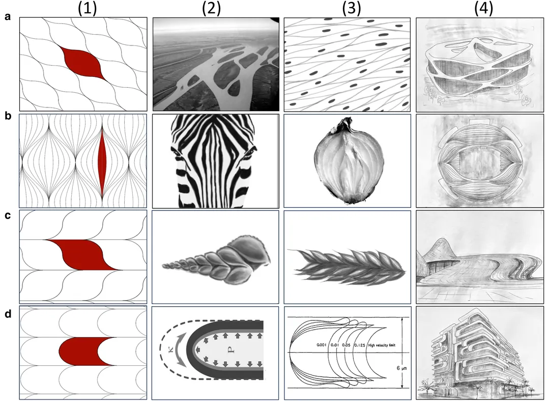 examples of tilings and their occurrences in nature, from islands, to cells, to zebra stripes, leaves and shell chambers