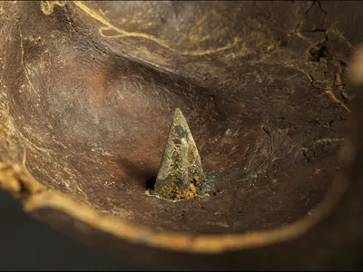 Some human bones, including this skull, found at the Tollense Valley battlefield were pierced with arrowheads.
