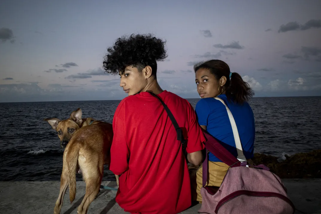 kids and dogs