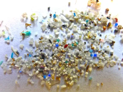 Microplastics are tiny pieces of plastic that have been found all over the world and in the human body.