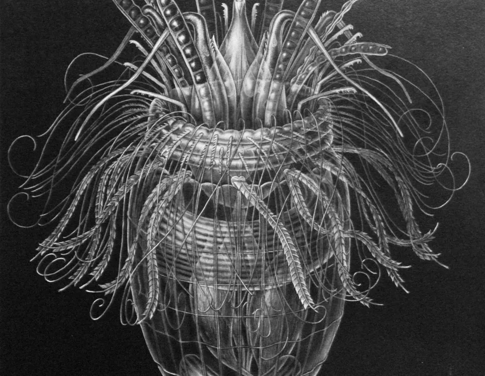 An illustration of a new species of phyla with a cone shaped bottom and thin tendrils coming out of the top.