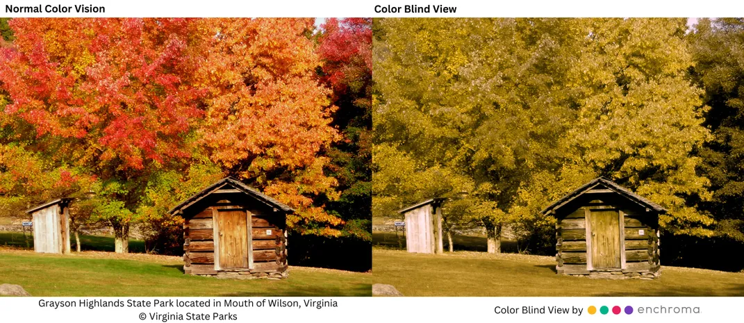 Side by side showing standard vision of trees and a little cabin versus colorblind view of the same image