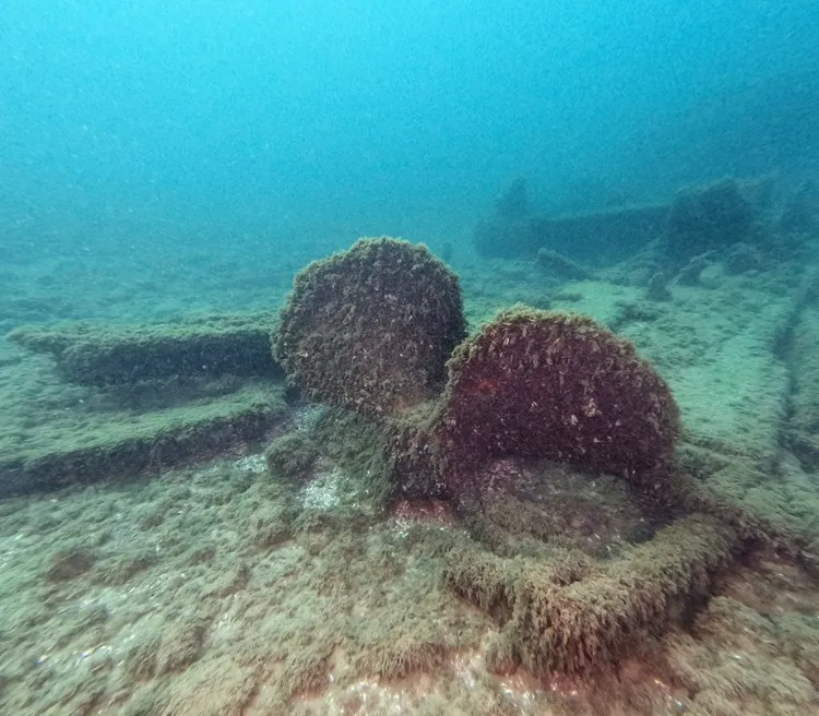 Equipment covered in fuzzy algae under water