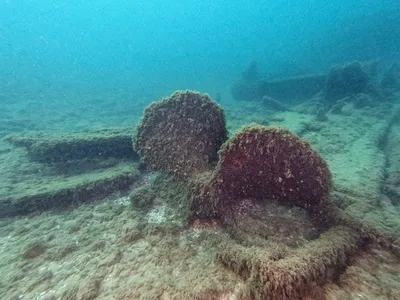 Underwater photos revealed the John Evenson&#39;s giant propeller.
