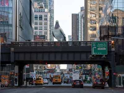 A rendering of&nbsp;Iv&aacute;n Argote&#39;s giant pigeon statue perched on top of the High Line