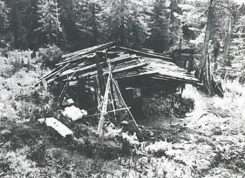 Cabin