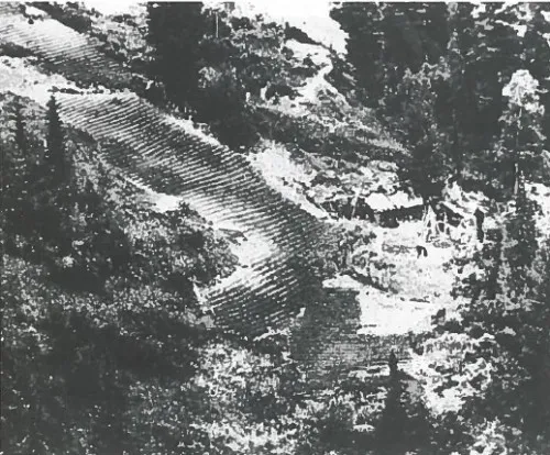 The Lykovs' homestead