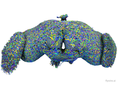 Researchers mapped all 139,255 neurons in the brain of an adult fruit fly, which are linked by more than 50 million synapses.