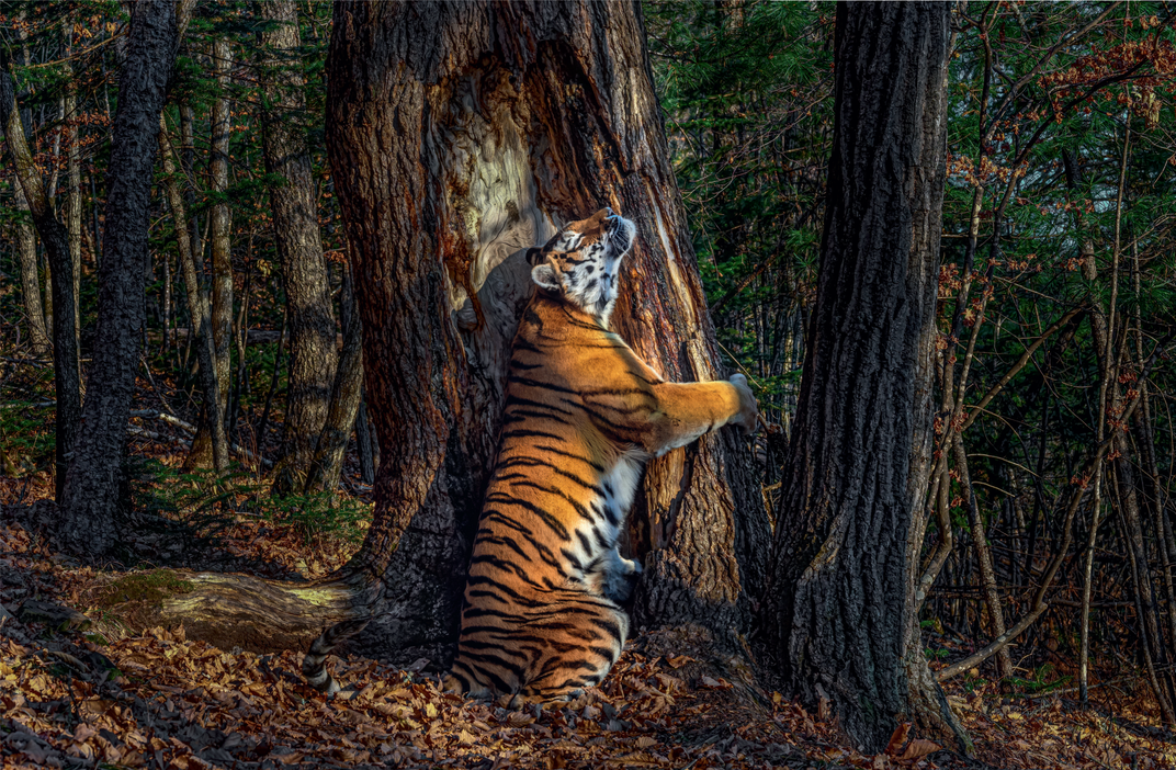 The embrace