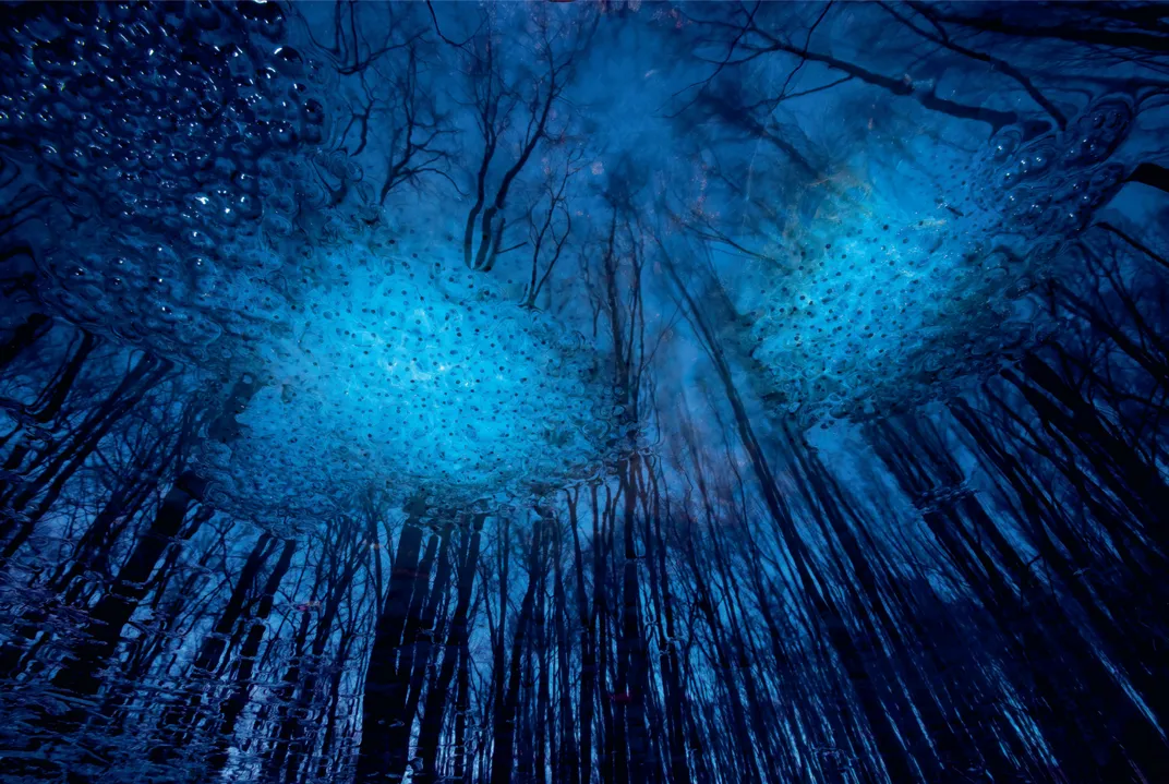 Universe of eggs
